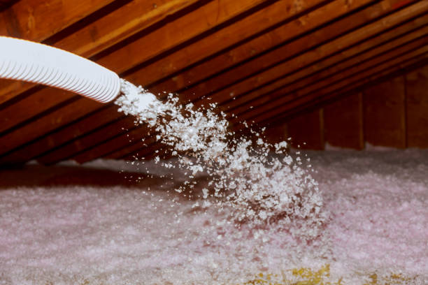 Best Insulation Installation Services in Granite Shoals, TX