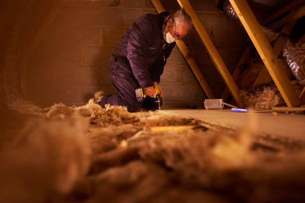 Best Insulation Maintenance and Repair in Granite Shoals, TX